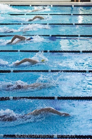 competition-sport;dive;diving;Dunedin;lane;lanes;Moana-Pool;N.Z.;New-Zealand;NZ;pool;pools;race;races;S.I.;SI;South-Is.;South-Island;sport;sports;start;starting;starts;swim;Swimming-Races;water;water-sports