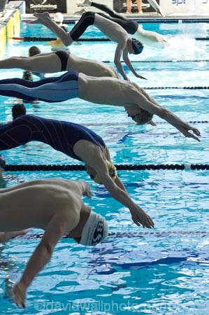 competition-sport;dive;diving;Dunedin;lane;lanes;Moana-Pool;N.Z.;New-Zealand;NZ;pool;pools;race;races;S.I.;SI;South-Is.;South-Island;sport;sports;start;starting;starts;swim;Swimming-Races;water;water-sports