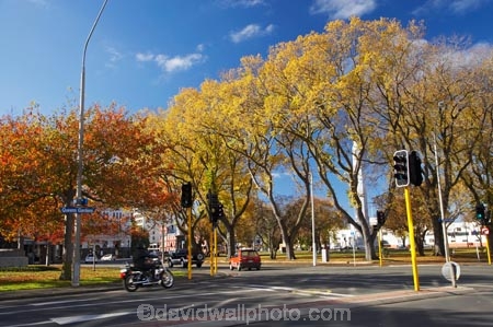 autuminal;autumn;autumn-colour;autumn-colours;autumnal;color;colors;colour;colours;deciduous;Dunedin;fall;intersection;intersections;leaf;leaves;motorbike;motorcycle;N.Z.;New-Zealand;NZ;Queens-Gardens;S.I.;season;seasonal;seasons;SI;South-Is.;South-Island;traffic-light;traffic-lights;tree;trees