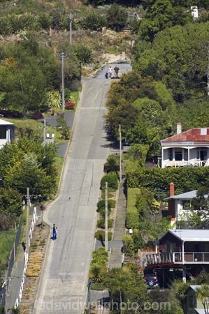 Baldwin-St;Baldwin-Street;Dunedin;hill;hills;N.E.V.;N.Z.;NEV;New-Zealand;North-East-Valley;NZ;Otago;S.I.;SI;slope;slopes;South-Is.;South-Island;steep;the-steepest-street-in-the-world;worlds-steepest-street;worlds-steepest-street