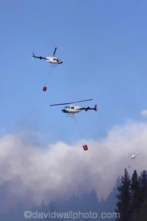 air-craft;aircraft;aircrafts;aviating;aviation;aviator;aviators;Bel-Jet-Ranger;Bel-Jet-Rangers;Bell-206B;Bell-Jetranger;Bell-Jetrangers;Bk117;bucket;buckets;chopper;choppers;Dunedin;emergency;fire;fire-fighters;fire-fighting;fire_fighting;firefighting;fires;flight;flights;fly;flyer;flyers;flying;Forest-Fire;Forest-Fires;Helicopter;Helicopters;Helicopters-Otago;Jet_ranger;Jet_rangers;Kawasaki-BK117-A_4;monsoon-bucket;monsoon-buckets;N.Z.;New-Zealand;NZ;pilot;pilots;pine;pine-forest;pine-forests;pine-tree;pine-trees;pines;rotor;S.I.;SI;sky;smoke;smokey;South-Island;water-biuckets;water-bucket
