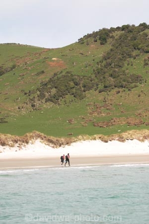 Southern-Traverse;Southern-Traverse-2003;Southern-Traverse-Adventure-Race;Dunedin;Otago;New-Zealand;Team-Omnigraphics;Omnigraphics;Sponsor;Sponsored;athlete;athletes;endure;endurance;stamina;challenge;effort;marathon;long-distance;long_distance;team;teams;team-member;team-members;team_member;team_members;compete;competing;competition;competitor;competitors;race;racing;coasteering;coast;coastal;ocean;sea;water;wave;waves;tidal;tide;tides;shore;shoreline;shore-line;shore_line;seashore;sea_shore;sea-shore;foreshore;beach;beaches;sand;sandy;walk;walking