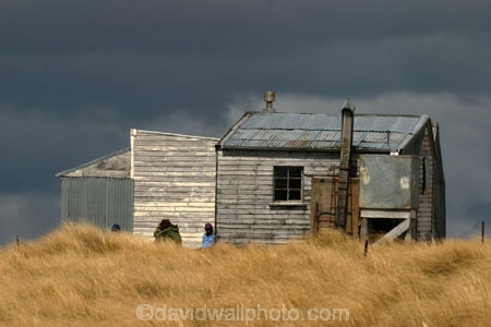 Southern-Traverse;Southern-Traverse-2003;Southern-Traverse-Adventure-Race;Dunedin;Otago;New-Zealand;Te-Papanui;Te-Papanui-Conservation-Park;conservation-park;mountain-hut;hut;huts;shack;cottage;wood;wooden;remote;wilderness;run-down;run_down;old;historic;historical;dilapidated;tussock;tussocks;high-country;back-country;grass;grassy;Team-Omnigraphics;Omnigraphics;Sponsor;Sponsored;athlete;athletes;endure;endurance;stamina;challenge;effort;marathon;long-distance;long_distance;team;teams;team-member;team-members;team_member;team_members;compete;competing;competition;competitor;competitors;race;racing;walk;walking;hike;hiker;hikers;hiking;hikes;tramp;tramper;trampers;tramping;tramps;pause;break;rest;rest-stop;rest_stop