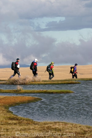Southern-Traverse;Southern-Traverse-2003;Southern-Traverse-Adventure-Race;Dunedin;Otago;New-Zealand;Team-Omnigraphics;Omnigraphics;Sponsor;Sponsored;athlete;athletes;endure;endurance;stamina;challenge;effort;marathon;long-distance;long_distance;team;teams;team-member;team-members;team_member;team_members;compete;competing;competition;competitor;competitors;race;racing;walk;walking;hike;hiker;hikers;hiking;hikes;tramp;tramping;tramper;trampers;tramps;single-file;single_file;indian-file;indian_file;pond;ponds;pool;pools;tarn;remote;wilderness;high-country;high_country;tussock;tussocks;tussock-land;grass;grassland;grasslands