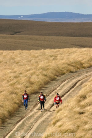 Southern-Traverse;Southern-Traverse-2003;Southern-Traverse-Adventure-Race;Dunedin;Otago;New-Zealand;Team-Omnigraphics;Omnigraphics;Sponsor;Sponsored;athlete;athletes;endure;endurance;stamina;challenge;effort;marathon;long-distance;long_distance;team;teams;team-member;team-members;team_member;team_members;compete;competing;competition;competitor;competitors;race;racing;walk;walking;hike;hiker;hikers;hiking;hikes;tramp;tramping;tramper;trampers;tramps;tarn;remote;wilderness;high-country;high_country;tussock;tussocks;tussock-land;grass;grassland;grasslands;path;paths;road;roads;track;tracks;dirt-road;gravel;dirt