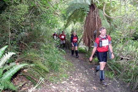 Southern-Traverse;Southern-Traverse-2003;Southern-Traverse-Adventure-Race;Dunedin;Otago;New-Zealand;Team-Omnigraphics;Omnigraphics;Sponsor;Sponsored;athlete;athletes;endure;endurance;stamina;challenge;effort;marathon;long-distance;long_distance;team;teams;team-member;team-members;team_member;team_members;competition;competitor;competitors;race;racing;bush;forest;forestry;nature;fern;ferns;wood;woods;woodlands;walk;walking;hike;hiker;hikers;hiking;tramp;tramping;tramper;trampers;path;track