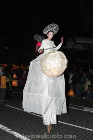 carnival;carnivals;cold;dark;Dunedin;Festival;festivals;mid_winter;midwinter;New-Zealand;night;pagan;paganistic;paganists;solstice;South-Island;Winter