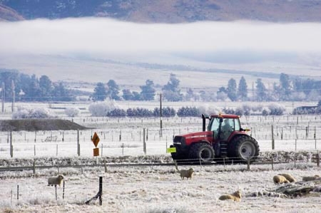 agricultural;agriculture;beautiful;calm;calmness;clean;clear;cold;Coldness;Color;Colour;country;countryside;Daytime;Exterior;farm;farming;farmland;farms;field;fields;freeze;freezing;freezing-fog;frost;Frosted;frosty;high-country;hoar-frost;Hoarfrost;ice;ice-crystals;icy;idyllic;Landscape;Landscapes;meadow;meadows;natural;Nature;new-zealand;otago;Outdoor;Outdoors;Outside;paddock;paddocks;pasture;pastures;peaceful;Peacefulness;phenomena;phenomenon;pure;Quiet;Quietness;rime;rural;Scenic;Scenics;Season;Seasons;silence;south-island;spectacular;strath-taieri;stunning;sutton;tractor;tractors;tranquil;tranquility;view;water;weather;White;winter;Wintertime;wintery;wintry