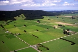 spring;grass;green;sheep;lamb;lambs;farm;farming;farms;paddock;paddocks;field;fields;pasture;pastures;meadow;meadows;agriculture;rural;plain;plains;verdant;lush;Southern-Scenic-Route