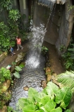 butterflies;butterfly;Discovery-World-Tropical-Forest;Dunedin;museum;museums;N.Z.;New-Zealand;NZ;Otago;Otago-Museum;S.I.;SI;South-Is.;South-Island;Tropcial-Butterfly-House;tropical;waterfall;waterfalls