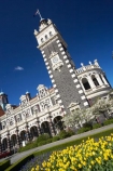 1906;architecture;bloom;blooming;blooms;building;buildings;clock;clock-tower;clock-towers;council-gardens;Dunedin;Dunedin-Railway-Station;Flemish-Renaissance-style;floral;flower;flower-bed;flower-beds;flower-garden;flower-gardens;flowers;fresh;garden;gardens;George-A-Troup;Gingerbread-George;grow;growth;heritage;Historic;historic-building;historic-buildings;historical;historical-building;historical-buildings;history;N.Z.;New-Zealand;NZ;old;Otago;rail-station;rail-stations;railway;railway-station;railway-stations;railways;renew;S.I.;season;seasonal;seasons;SI;South-Is.;South-Island;spring;Spring-Flowers;springtime;tradition;traditional;train-station;train-stations;tulip;tulips