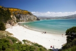 beach;beaches;coast;coastal;coastline;coastlines;coasts;Doctors-Point;Doctors-Point;Dunedin;families;family;foreshore;Historic-Maori-Pa-Site;Mapoutahi;N.Z.;New-Zealand;NZ;ocean;oceans;Otago;purakanui;Purakaunui;sand;sandy;sea;seas;shore;shoreline;shorelines;shores;South-Is;South-Is.;South-Island;summer;summertime;water