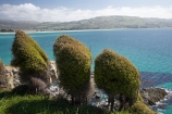 bush;bushes;coast;coastal;coastline;coastlines;coasts;Dunedin;foreshore;Historic-Maori-Pa-Site;Mapoutahi;N.Z.;New-Zealand;NZ;ocean;Otago;purakanui;Purakaunui;sea;shore;shoreline;shorelines;shores;South-Is;South-Is.;South-Island;three;Warrington;water;windblown-bushes;windy