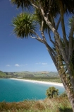 beach;beaches;Cabbage-Tree;Cabbage-Trees;coast;coastal;coastline;coastlines;coasts;Cordyline-australis;Dunedin;foreshore;Historic-Maori-Pa-Site;Mapoutahi;N.Z.;New-Zealand;NZ;ocean;oceans;Otago;purakanui;Purakaunui;sand;sandy;sea;seas;shore;shoreline;shorelines;shores;South-Is;South-Is.;South-Island;water