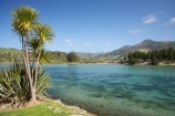 Cabbage-Tree;Cabbage-Trees;coast;coastal;coastline;coastlines;coasts;Cordyline-australis;Dunedin;estuaries;estuary;foreshore;inlet;inlets;lagoon;lagoons;N.Z.;New-Zealand;NZ;ocean;Otago;purakanui;Purakanui-Inlet;Purakaunui;Purakaunui-Inlet;sea;shore;shoreline;shorelines;shores;South-Is;South-Is.;South-Island;tidal;tide;water