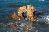 coast;coastal;coastline;coastlines;coasts;Dunedin;East-Otago;erode;eroded;erosion;foreshore;geological-formation;geological-formations;geology;Historic-Maori-Pa-Site;historic-place;historic-places;Huriawa-Peninsula;Karitane;Karitane-Peninsula;Maori-Pa;N.Z.;Natural-Arch;natural-arches;New-Zealand;NZ;ocean;Otago;rock-formation;rock-formations;sea;shore;shoreline;shorelines;shores;South-Is;South-Is.;South-Island;The-Pa-Te-Wera;water