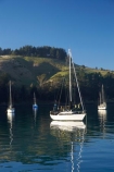 boat;boats;calm;calmness;Deborah-Bay;Dunedin;harbor;harbors;harbour;harbours;hull;hulls;launch;launches;marina;marinas;mast;masts;Moored-Yachts;N.Z.;New-Zealand;NZ;Otago;Otago-Harbor;Otago-Harbour;peaceful;peacefulness;placid;port;ports;quiet;reflection;reflections;S.I.;sail;sailing;serene;SI;smooth;South-Is.;South-Island;still;stillness;tranquil;tranquility;water;yacht;yachts