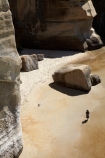 beach;beaches;bluff;bluffs;cliff;cliffs;coast;coastal;coastal-erosion;coastline;coastlines;coasts;Dunedin;N.Z.;New-Zealand;NZ;ocean;oceans;Otago;people;person;S.I.;sand;sandstone;sandy;sea;sea-cliff;sea-cliffs;seas;shore;shoreline;shorelines;shores;SI;South-Is;South-Is.;South-Island;summer;tourism;tourist;tourists;Tunnel-Beach;wave;waves
