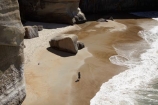 beach;beaches;bluff;bluffs;cliff;cliffs;coast;coastal;coastal-erosion;coastline;coastlines;coasts;Dunedin;N.Z.;New-Zealand;NZ;ocean;oceans;Otago;people;person;S.I.;sand;sandstone;sandy;sea;sea-cliff;sea-cliffs;seas;shore;shoreline;shorelines;shores;SI;South-Is;South-Is.;South-Island;summer;tourism;tourist;tourists;Tunnel-Beach;wave;waves