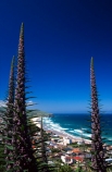 beach;sand;swim;swimming;surf;surfer;surfers;lifesaving;white;ocean;esplanade;sea;pacific;wave;waves;lawyers-head
