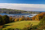 autuminal;autumn;autumn-colour;autumn-colours;autumnal;color;colors;colour;colours;deciduous;Dunedin;fall;harbor;harbours;leaf;leaves;N.Z.;New-Zealand;NZ;Otago;Otago-Harbor;Otago-Harbour;Otago-Peninsula;S.I.;season;seasonal;seasons;SI;South-Is;South-Island;Sth-Is;tree;trees;Unity-Park