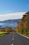 autuminal;autumn;autumn-colour;autumn-colours;autumnal;centre-line;centre-lines;centre_line;centre_lines;centreline;centrelines;color;colors;colour;colours;deciduous;driving;Dunedin;fall;harbor;harbours;leaf;leaves;N.Z.;New-Zealand;NZ;Otago;Otago-Harbor;Otago-Harbour;road;roads;S.I.;season;seasonal;seasons;SI;South-Is;South-Island;Stafford-St;Stafford-Street;Sth-Is;transport;transportation;travel;traveling;travelling;tree;trees;Unity-Park
