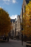 autuminal;autumn;autumn-colour;autumn-colours;autumnal;building;buildings;color;colors;colour;colours;deciduous;Dunedin;education;fall;heritage;historic;historic-building;historic-buildings;historical;historical-building;historical-buildings;history;leaf;leaves;N.Z.;New-Zealand;North-Dunedin;NZ;old;Otago;Otago-University;registry-building;S.I.;season;seasonal;seasons;SI;South-Is;South-Is.;South-Island;Sth-Is;tertiary-education;tradition;traditional;tree;trees;universities;university;University-of-Otago