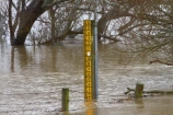 Allanton;bad-weather;deluge;Dunedin;flood;flood-gauge;flood-gauges;flood-water;flood-waters;flooding;floods;floodwater;floodwaters;high-water;inundate;N.Z.;New-Zealand;NZ;on-flood;Otago;river;rivers;S.I.;SI;South-Is.;South-Island;swollen-river;Taieri;Taieri-Plains;Taieri-River;water-gauge;water-gauges;water-level-mark;water-level-marker;water-level-markers;water-level-marks;weather;wet