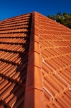 clay-tile;clay-tiles;Dunedin;N.Z.;New-Zealand;NZ;orange-tile;orange-tiles;Otago;roof;roofs;rooves;S.I.;SI;South-Is;South-Is.;South-Island;Sth-Is;Terra-cotta-tiles;Terra_cotta-tiles;Terracotta;terracotta-tiles;tile;tile-roof;tile-roofs;tile-rooves;tiles