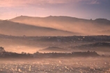 hill;hills;rolling;mist;haze;Dunedin;Otago;Peninsula;morning;houses;antenna;Otago-Peninsula;cloudy;cloud;clouds