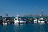 boat;boats;Careys-Bay;Careys-Bay;commercial-fishing-boat;commercial-fishing-boats;dock;docks;Dunedin;fishing-boat;fishing-boats;harbor;harbors;harbour;harbours;jetties;jetty;N.Z.;New-Zealand;NZ;Otago;Otago-Harbor;Otago-Harbour;port;Port-Chalmers;ports;quay;quays;S.I.;SI;South-Is;South-Island;Sth-Is;wharf;wharfes;wharves