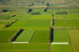 aerial;aerial-image;aerial-images;aerial-photo;aerial-photograph;aerial-photographs;aerial-photography;aerial-photos;aerial-view;aerial-views;aerials;agricultural;agriculture;Allanton;country;countryside;Dunedin;farm;farming;farmland;farms;field;fields;green;lush-farmland;meadow;meadows;Momona;N.Z.;New-Zealand;NZ;Otago;paddock;paddocks;pasture;pastures;rural;shelter-belt;shelter-belts;shelter_belt;shelter_belts;shelterbelt;shelterbelts;South-Is;South-Island;Sth-Is;Taieri;Taieri-Plain;Taieri-Plains;wind-break;wind-breaks;wind_break;wind_breaks;windbreak;windbreaks