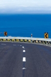 center-line;center_line;centerline;centre-line;centre_line;centreline;Dunedin;Highcliff-Rd;lines;N.Z.;New-Zealand;NZ;Otago;Otago-Peninsula;South-Is;South-Island;Sth-Is