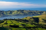 agricultural;agriculture;country;countryside;Dunedin;farm;farming;farmland;farms;field;fields;Martins-Hill;meadow;meadows;N.Z.;New-Zealand;NZ;Otago;Otago-Peninsula;paddock;paddocks;pasture;pastures;rural;shelter-belt;shelter-belts;shelter_belt;shelter_belts;shelterbelt;shelterbelts;South-Is;South-Island;Sth-Is;Upper-Junction;wind-break;wind-breaks;wind_break;wind_breaks;windbreak;windbreaks