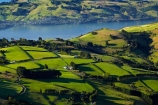 agricultural;agriculture;country;countryside;Dunedin;farm;farming;farmland;farms;field;fields;Martins-Hill;meadow;meadows;N.Z.;New-Zealand;NZ;Otago;Otago-Peninsula;paddock;paddocks;pasture;pastures;rural;shelter-belt;shelter-belts;shelter_belt;shelter_belts;shelterbelt;shelterbelts;South-Is;South-Island;Sth-Is;Upper-Junction;wind-break;wind-breaks;wind_break;wind_breaks;windbreak;windbreaks