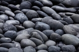 beach-beaches;boulder;boulders;coast;coastal;Dunedin;gray;grey;N.Z.;New-Zealand;NZ;Otago;Second-Beach;shore;shoreline;SI;South-Island;St-Clair;St-Clair-Beach;stones
