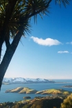 cold;Dunedin;harbor;harbors;harbour;harbours;larnach-castle;larnachs-castle;larnachs-castle;New-Zealand;otago-harbor;Otago-Harbour;otago-peninsula;Portobello-Peninsula;snow;South-Island;view-from-larnch-castle;winter