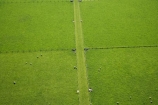 aerial;aerial-photo;aerial-photograph;aerial-photographs;aerial-photography;aerial-photos;aerial-view;aerial-views;aerials;agricultural;agriculture;country;countryside;Dunedin;farm;farm-animals;farming;farmland;farms;fence;fence-line;fence-lines;fence_line;fence_lines;fenceline;fencelines;fences;field;fields;green;lush;meadow;meadows;N.Z.;New-Zealand;North-Taieri;NZ;Otago;paddock;paddocks;pasture;pastures;rural;S.I.;sea;sheep;SI;South-Is.;South-Island;stock;Taieri-Plain;Taieri-Plains;verdant;water