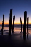 break-of-day;calm;coast;coastal;coastline;coastlines;coasts;dawn;dawning;daybreak;Dunedin;first-light;heritage;historic;historical;history;jetties;jetty;morning;N.Z.;New-Zealand;NZ;ocean;oceans;old;Old-Pier-Piles;orange;Otago;Pacific-Ocean;pier;piers;pile;piles;placid;post;posts;quiet;reflection;reflections;S.I.;Saint-Clair-Beach;Saint-Clair-Esplanade;sea;seas;serene;shore;shoreline;shorelines;shores;SI;silhouette;silhouettes;smooth;South-Is;South-Is.;South-Island;St-Clair;St-Clair-Beach;St-Clair-Esplanade;St.-Clair-Beach;St.Clair;St.Clair-Esplanade;still;sunrise;sunrises;sunup;The-Esplanade;tradition;traditional;tranquil;twilight;vertical;water;waterside;wharf;wharfes;wharves