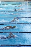 competition-sport;dive;diving;Dunedin;lane;lanes;Moana-Pool;N.Z.;New-Zealand;NZ;pool;pools;race;races;S.I.;SI;South-Is.;South-Island;sport;sports;start;starting;starts;swim;Swimming-Races;water;water-sports