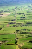 agriculture;Countryside;Daytime;farm;farming;farms;field;fields;grassy;Livestock;meadow;meadows;Outdoor;Outdoors;Outside;paddock;paddocks;pasture;pastures;road;roads;Rural