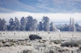 4wd;4wds;4wds;4x4;4x4s;4x4s;agricultural;agriculture;beautiful;calm;calmness;clean;clear;cold;Coldness;Color;Colour;country;countryside;Daytime;Exterior;farm;farming;farmland;farms;field;fields;four-by-four;four-by-fours;four-wheel-drive;four-wheel-drives;freeze;freezing;freezing-fog;frost;Frosted;frosty;high-country;hoar-frost;Hoarfrost;ice;ice-crystals;icy;idyllic;Landscape;Landscapes;meadow;meadows;natural;Nature;new-zealand;otago;Outdoor;Outdoors;Outside;paddock;paddocks;pasture;pastures;peaceful;Peacefulness;phenomena;phenomenon;pure;Quiet;Quietness;rime;rural;Scenic;Scenics;Season;Seasons;silence;south-island;spectacular;strath-taieri;stunning;sutton;suv;suvs;tranquil;tranquility;tree;trees;vehicle;vehicles;view;water;weather;White;winter;Wintertime;wintery;wintry