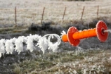 agricultural;agriculture;beautiful;calm;calmness;clean;clear;cold;Coldness;Color;Colour;country;countryside;Daytime;electric-fence;electricity;Exterior;farm;farming;farmland;farms;fence;fences;field;fields;freeze;freezes;freezing;freezing-fog;frost;Frosted;frosty;frozen;high-country;hoar;hoar-frost;Hoarfrost;ice;ice-crystals;icy;idyllic;Landscape;Landscapes;meadow;meadows;natural;Nature;netting;new-zealand;orange;Otago;Outdoor;Outdoors;Outside;paddock;paddocks;pasture;pastures;peaceful;Peacefulness;phenomena;phenomenon;power;pure;Quiet;Quietness;rime;rural;Scenic;Scenics;season;seasonal;seasons;shock;silence;South-Island;spectacular;stunning;sutton;tranquil;tranquility;view;water;weather;White;winter;Wintertime;wintery;wintry;wire;wires