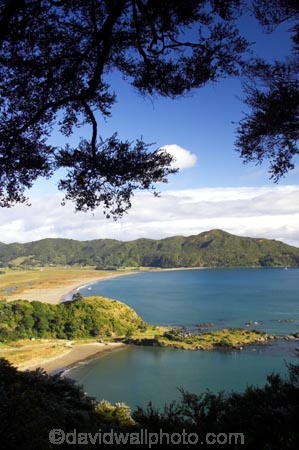 bay;bays;beach;beaches;coast;coastal;coastline;east-cape;east-coast;Eastland;hicks-bay;Hicks-Bay;new-zealand;north-is.;north-island;ocean;oceans;Onepoto-Bay;sand;sandy;sea;shore;shoreline;surf;wave;waves