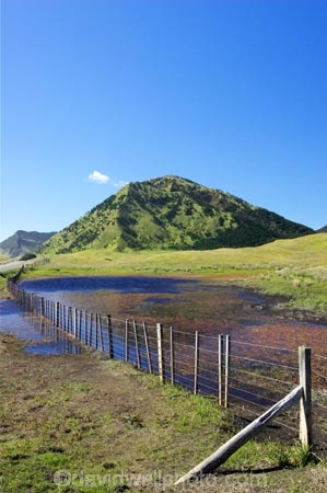agricultural;agriculture;country;countryside;crop;crops;east-cape;east-coast;eastland;farm;farming;farmland;farms;fence;fenceline;fencelines;fences;field;fields;hill;hills;horticulture;meadow;meadows;new-zealand;north-is.;north-island;paddock;paddocks;pasture;pastures;pond;ponds;rural