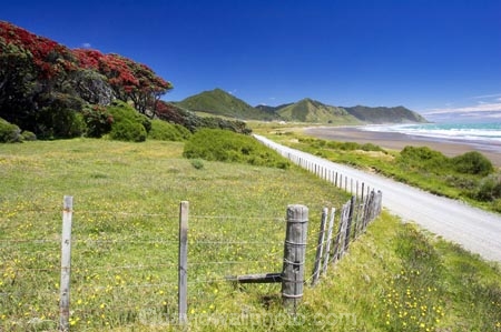 agricultural;agriculture;beach;beaches;coast;coastal;coastline;country;countryside;crop;crops;dusty;East-Cape;east-coast;Eastland;farm;farming;farmland;farms;fence;fenceline;fencelines;fences;field;fields;flower;flowers;gravel-road;gravel-roads;hill;hills;horticulture;meadow;meadows;metal-road;metal-roads;metalled-road;metalled-roads;metrosideros-excelsa;new-zealand;north-is.;north-island;ocean;oceans;paddock;paddocks;pasture;pastures;pohutakawa;pohutakawas;pohutukawa;pohutukawa-flower;pohutukawa-flowers;pohutukawa-tree;pohutukawa-trees;pohutukawas;road;roads;rural;sand;sandy;sea;shore;shoreline;surf;tree;trees;wave;waves