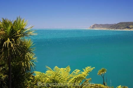 bay;bays;coast;coastal;coastline;east-cape;east-coast;Eastland;Haupara-Point;new-zealand;north-is.;north-island;ocean;oceans;sea;shore;shoreline;surf;te-araroa;wave;waves
