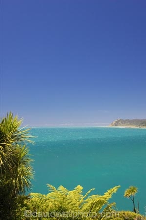 bay;bays;coast;coastal;coastline;east-cape;east-coast;Eastland;Haupara-Point;new-zealand;north-is.;north-island;ocean;oceans;sea;shore;shoreline;surf;te-araroa;wave;waves