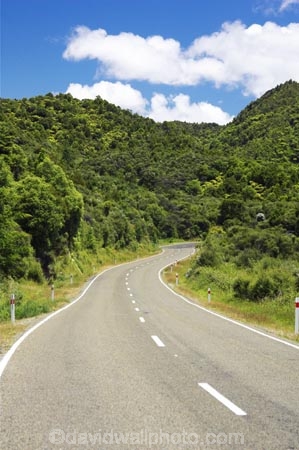 beautiful;beauty;bend;bends;bush;centre-line;centre-lines;centre_line;centre_lines;centreline;centrelines;corner;corners;driving;east-cape;east-coast;Eastland;endemic;forest;forests;green;Hicks-Bay;highway;highways;native;native-bush;natives;natural;nature;New-Zealand;north-is.;north-island;open-road;open-roads;road;road-trip;roads;scene;scenic;straight;transport;trasnportation;travel;traveling;travelling;tree;trees;trip;wood;woods