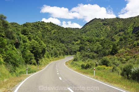 beautiful;beauty;bend;bends;bush;centre-line;centre-lines;centre_line;centre_lines;centreline;centrelines;corner;corners;driving;east-cape;east-coast;Eastland;endemic;forest;forests;green;Hicks-Bay;highway;highways;native;native-bush;natives;natural;nature;New-Zealand;north-is.;north-island;open-road;open-roads;road;road-trip;roads;scene;scenic;straight;transport;trasnportation;travel;traveling;travelling;tree;trees;trip;wood;woods